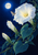 White trumpet-shaped moonflower with two buds, green vines, a hovering moth, and a full moon against a deep blue sky.