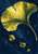 Large golden ginkgo leaf with radiating veins and three smaller falling leaves against a dark navy background.