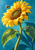 Large golden sunflower with two green leaves and a small bee hovering near the upper-left side against a teal-blue background.