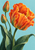Large ruffled orange tulip with two closed buds, sweeping green leaves and water droplets against an aqua background.