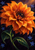 Large orange dahlia with a small copper-colored beetle in its dark center, curved green leaves, and blue flowers against an aubergine-black background.
