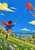 Child running uphill with a streaming scarf and flying a red-orange kite above flowering trees, a stone wall and distant hills.
