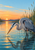 A great blue heron bends toward ripples in shallow water, with reeds, an apricot dawn sky, and its reflection in the foreground.