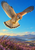 Pale speckled raptor hovering with wings spread above purple heather, with mountains and water in the distance.