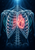 Luminous coral-pink heart within a pale cyan human rib cage, with turquoise arcs against dark blue space.