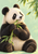A seated young giant panda holds a bamboo stalk against a pale mint background as bamboo leaves enter from the upper right.