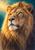 Close portrait of an adult male lion with a golden mane looking upward and left toward a pale warm glow against deep teal.