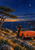 Figure holding an acoustic guitar beside an orange convertible at a rocky coastal overlook at dusk.