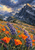 Purple lupines and orange poppies fill the foreground below a serrated, storm-clouded mountain ridge, with a winding trail and sunlight on the highest peak.