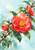 Large coral-red camellia with a golden center on a diagonal leafy branch with smaller flowers and buds against pale aqua.