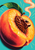 Pop-art illustration of a split coral and golden peach with a brass whistle integrated into its dark pit, curling vapor, and a green leaf on turquoise.