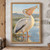White pelican standing in shallow water with a small silver fish at the tip of its raised bill.; frame shown for styling only