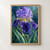 Close view of a rain-beaded violet and indigo bearded iris with a bright yellow-green beard and long green leaves.; frame shown for styling only