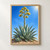 Blue-green agave rosette with a tall central stalk of golden blooms and a smaller offset among rocks beneath a bright blue sky.; frame shown for styling only