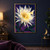 Large pale flower with a golden center and hovering moth beneath a crescent moon in a dark, star-speckled sky.; frame shown for styling only