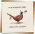 Funny Birthday Card Pheasant Pun – It's Birthday Time! Here's Your Pheasant! 145mm x 145mm, Humorous Animal Greeting for him her friend, includes Kraft Envelope