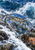 Large blue crab among dark wet rocks, with white foam sweeping across the foreground and a curling blue wave behind.