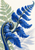 A vivid cobalt-blue fern frond curls upward from a large fiddlehead, with a pale celadon frond behind it on warm white.