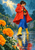 Woman in a red-orange raincoat sheltering a small potted flower while stepping through a puddle beside oversized marigolds.
