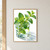 Bright green mint sprig with water droplets growing from a clear glass of water on a white tabletop.; frame shown for styling only