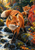 Two red foxes among creekside rocks and woodland foliage, with one fox in the foreground and a smaller fox behind it.
