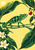 Green chameleon gripping a horizontal vine with curled tail, reaching toward a red berry among arching leaves and white blossoms.