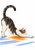 Mottled dark-and-white cat stretching forward on a white ground, with an orange pool of light and blue floor shadows.