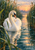 White swan with its head lowered among tall reeds on reflective water at sunset.