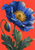 Large blue poppy with a golden center and hanging bud against a coral-red background, surrounded by green leaves.