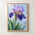 Violet and cobalt bearded iris with a golden throat and water droplets, including one hanging from a petal tip, against a pale blue-gray background.; frame shown for styling only
