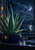 Spiky aloe-like succulent in a dark blue pot on a windowsill beneath a crescent moon, with a glass of water and folded cloth.