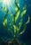 Several long green kelp blades rise from a rooted base above a rocky seabed, with light rays entering from the upper left.