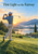 Golfer finishing a shot on a sunrise fairway, with a small ball in the sky, lake, hills, cypress, and footbridge.