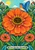 A blue-and-orange bird perches on a large orange flower among patterned foliage, smaller blooms, seedpods, and a sun.