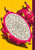 A large halved dragon fruit with white, black-seeded flesh and magenta rind overlaps a whole fruit against a yellow background with a plum stripe.
