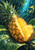 A split golden pineapple with its crown sweeping upward-left rests on rain-beaded tropical leaves beneath turquoise light.