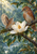 Two brown songbirds on a rain-wet branch beside a large white magnolia, surrounded by glossy leaves and droplets.