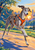 Full-body greyhound in an orange harness bounding along a sunlit park path with a curved leash and distant city skyline.