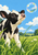 Black-and-white calf looks up at an iridescent bubble above tall meadow grass, with clouds and distant hills.