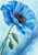 Watercolor-style blue poppy with a dark center, gold-tipped filaments, two droplets, and a curved stem bearing a pointed leaf and closed bud.