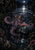 Purple-blue octopus with curling suckered arms around a stone in a dark, moonlit rocky tidepool.