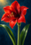 A large red amaryllis bloom with golden pollen-tipped stamens rises between two glossy green leaves against a deep blue background.