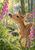 Young spotted deer reaching toward pink foxglove flowers among ferns in a sunlit woodland.