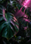 Close-up of rain-speckled split tropical leaves in deep green shadow, glowing with vivid magenta-pink light.