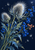 Two pale bristly seedheads, blue berry clusters, and angular silver-blue leaves rise diagonally against a midnight-indigo background.
