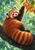 Russet red panda perched on a dark branch and reaching toward three orange fruits among green leaves.