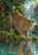 A golden jaguar with dark rosettes crouches on a mossy bank beside turquoise water, with tropical foliage and a distant waterfall.