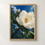 A large white magnolia-like flower with water droplets, a closed bud, glossy leaves, and a woody branch against blue sky.; frame shown for styling only