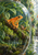 Bright orange frog gripping a moss-covered branch inside a rounded glass terrarium filled with dense foliage.