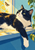 A black-and-white tuxedo cat stretched across a bright blue windowsill with one white paw dangling, a small flying insect, and a green plant.